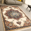 Luxury Velvet Rugs LV - 309