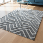 Plush Shaggy Rugs Matrix Pattern