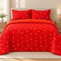 Sweetheart Love 4-Piece Reversible Comforter