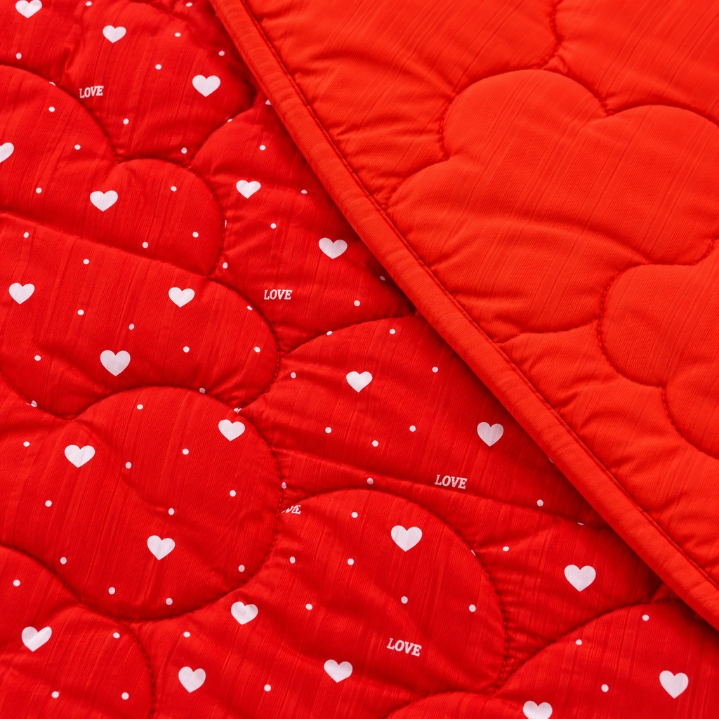 Sweetheart Love 4-Piece Reversible Comforter